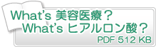 What's 美容医療？　What's ヒアルロン酸？　PDF512KB