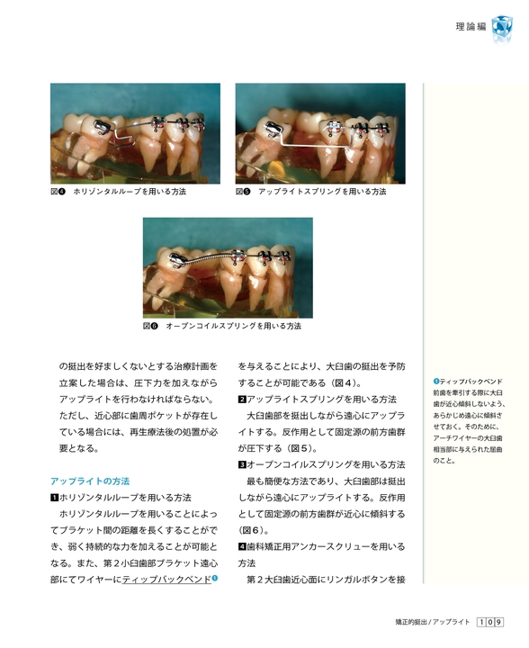 矯正臨床 一般歯科医のための理論と実務