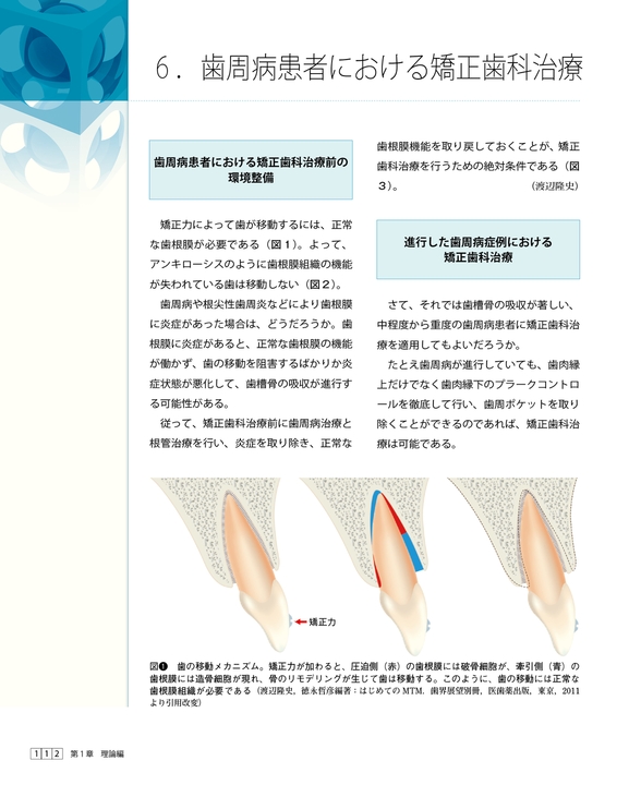 矯正臨床 一般歯科医のための理論と実務