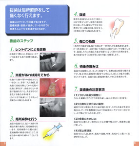 内容