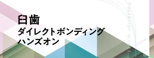 臼歯ダイレクトボンディング　ハンズオン